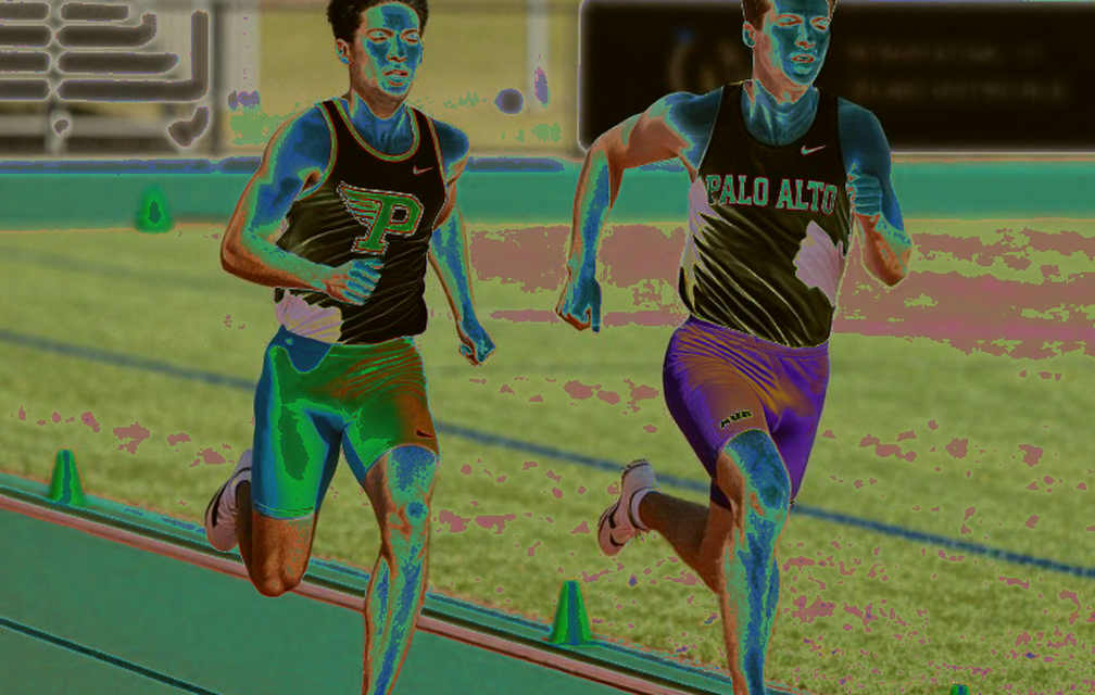 Global Gate Hạ Long ESG++ Marathon 2026: Đường chạy ven di sản, kỷ lục 15.000 người và những khoảng trống phía sau tấm poster